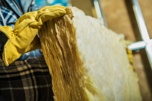 Best Types of Insulation in Gibson, AR